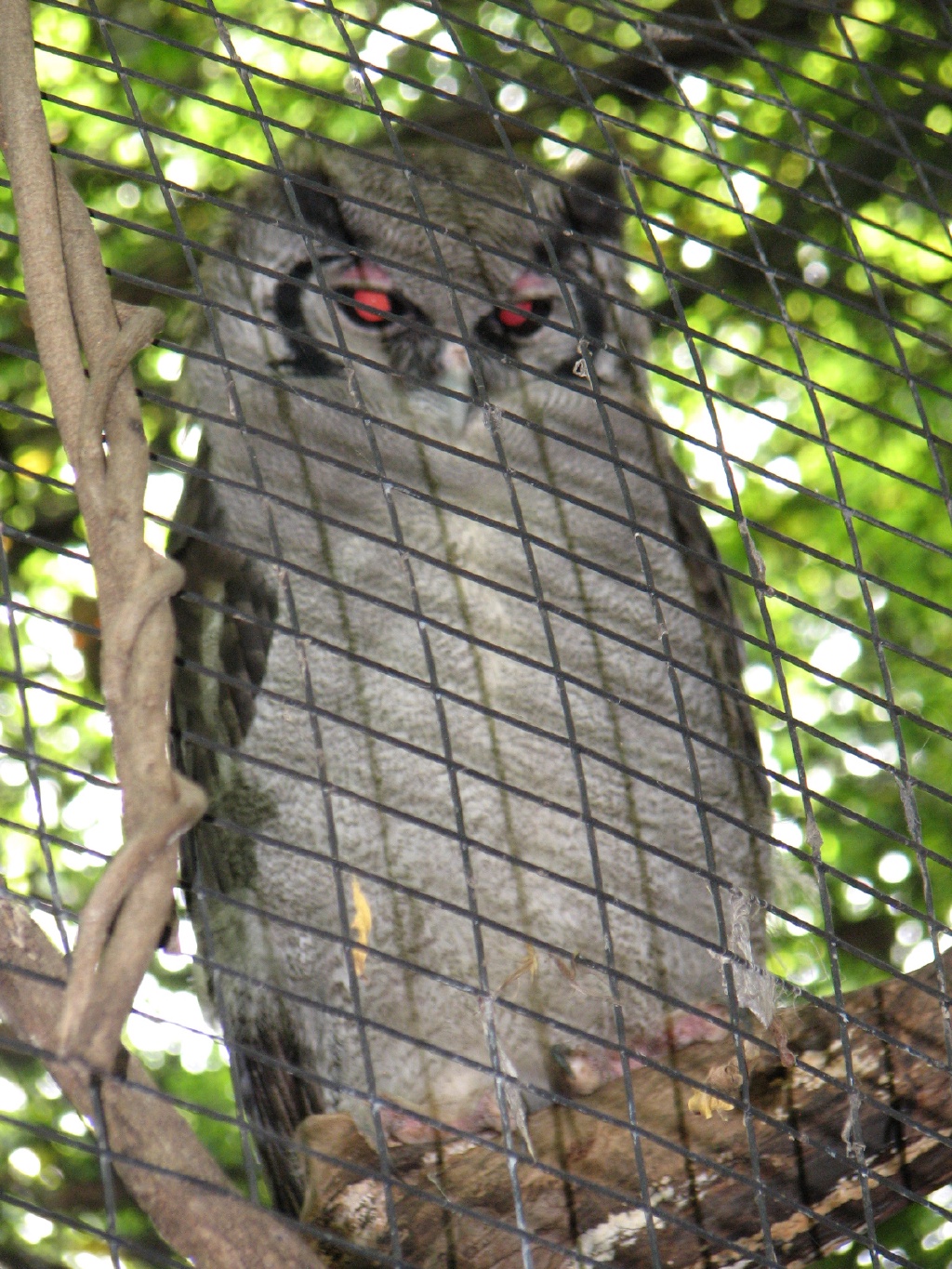 20100206 512.JPG
